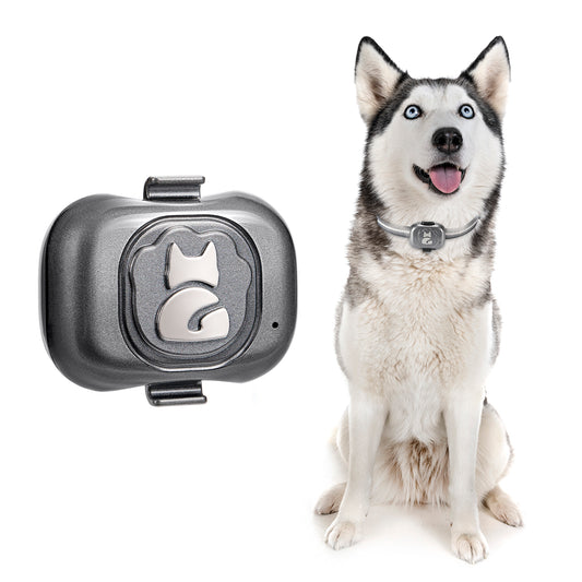 Lifetag Pet Rastreador Gps Para Mascotas